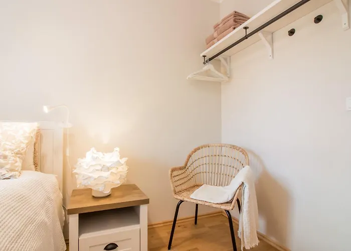 Tiigi 8 Cozy تارتو